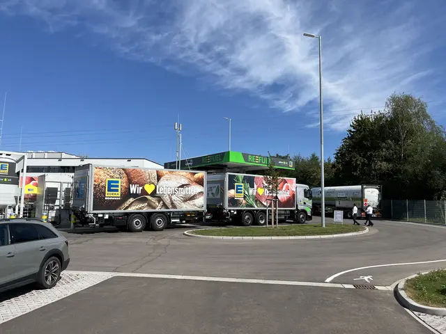 Die neue Bio-LNG-Tankstelle auf dem Gelände der Edeka Südwest | Foto: gro