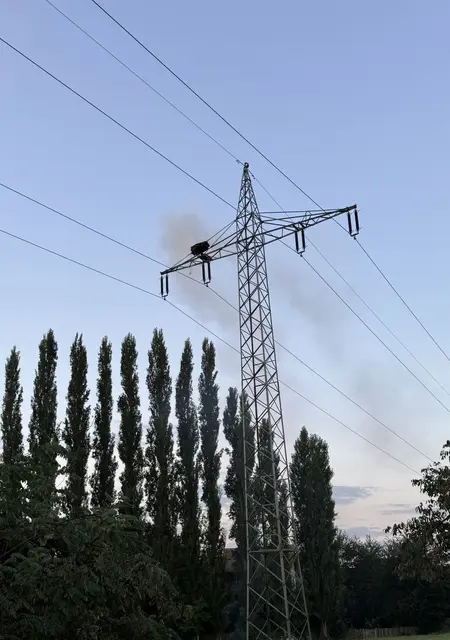 Ein Storchennest, das sich auf einem Hochspannungsmast befand, brannte am Sonntagmorgen. | Foto: Feuerwehr Offenburg