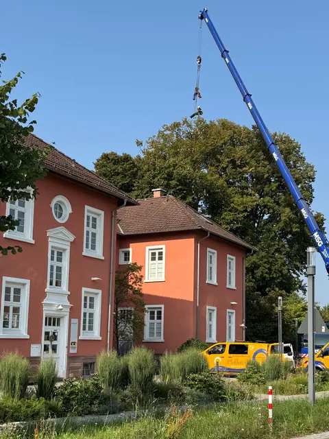 Die Baumkletterer wurden von den Kindergartenkindern bestaunt.  | Foto: Ulrike Doll