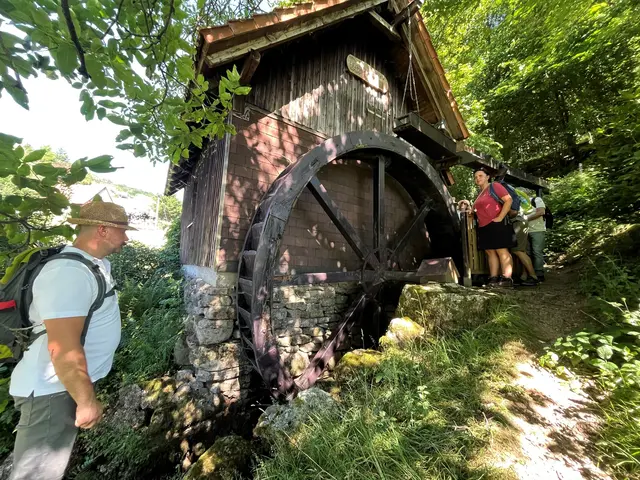 Benz-Mühle | Foto: Glaser