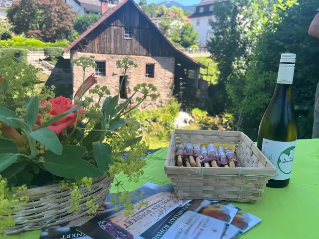 "Mühlen.Wein" | Foto: Glaser