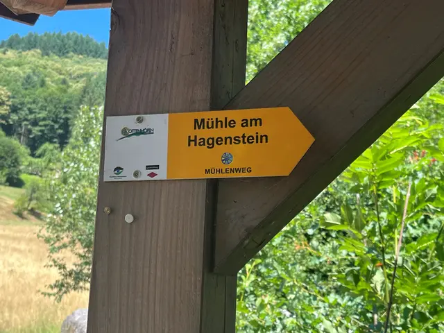 Foto: Glaser