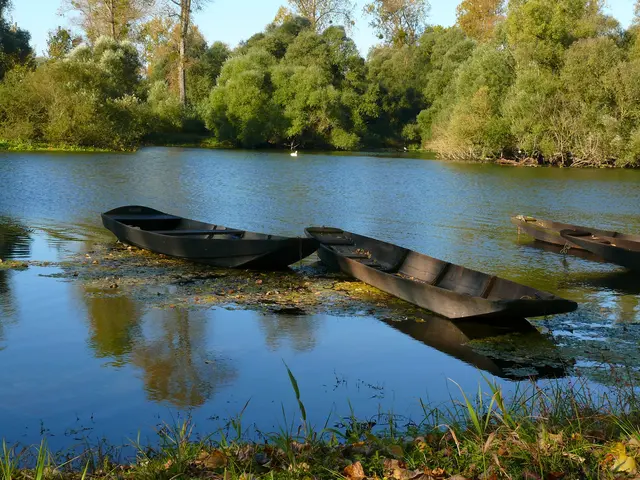 Man sieht sie recht oft an den Ufern der Altrheinarme, die alten Flachkähne, die von Fischern genutzt wurden. | Foto: Alfred Schramm