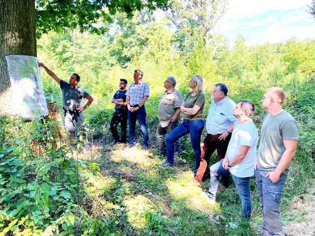 Wertvolle Infos zur Waldwirtschaft | Foto: Landratsamt Ortenaukreis/Amt für Waldwirtschaft