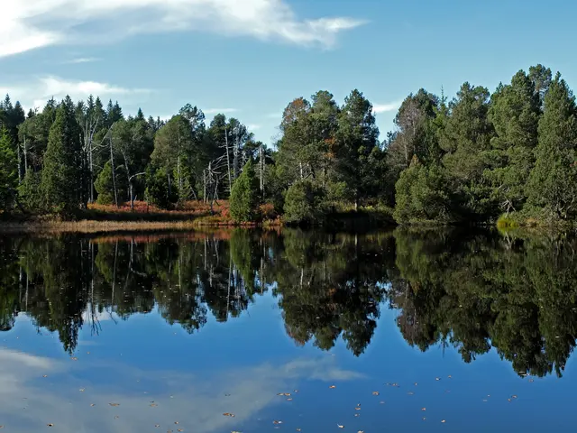 Schöne Landschaftsaufnahmen kann man am Blindensee bei Schönwald machen. Es ist ein Hochmoorsee, der über einen Bohlensteg erreichbar ist. | Foto: Alfred Schramm