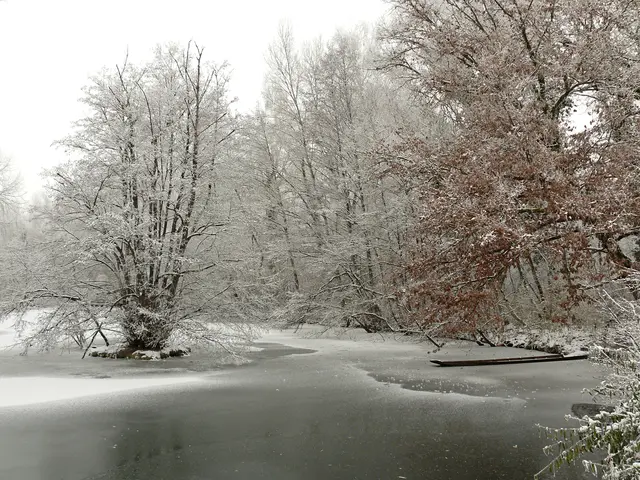 Auch die kalte Jahreszeit bietet sich für tolle Bilder an. Das Foto wurde aufgenommen im Naturschutzgebiet Sauscholle bei Neuried-Ichenheim. | Foto: Alfred Schramm