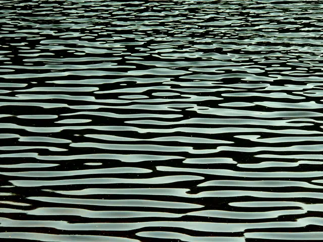 Kunstvolle Wasseroberfläche. | Foto: Alfred Schramm