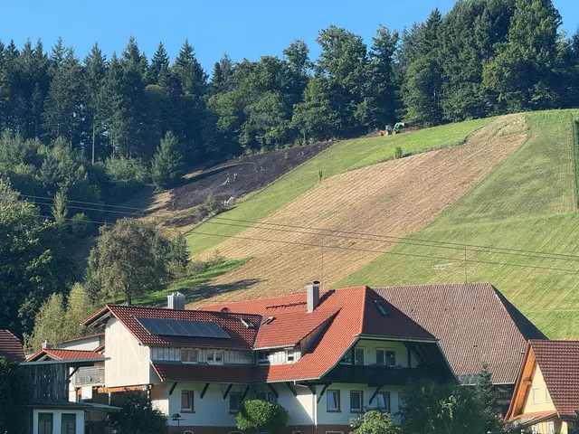 Am Hang oberhalb von Gengenbach-Strohbach hatte sich ein Feuer ausgebreitet. | Foto: Isabel Obleser