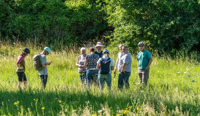 Streuobstflächen wurden als Ausgleichsflächen angelegt. | Foto: Stadt Kehl/Annette Lipowksy