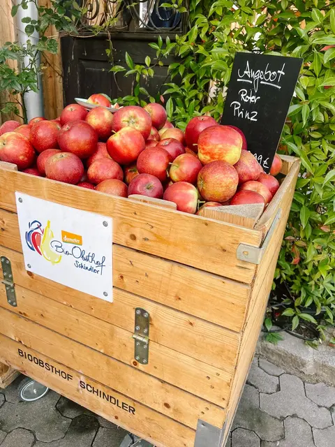 Besonders am Herzen liegen der Familie Schindler alte und seltene Obstsorten wie die „Bühler Frühzwetschge“ oder der „Rote Boskoop“. | Foto: Janina Hutt/Naturpark Schwarzwald Mitte/Nord e. V.