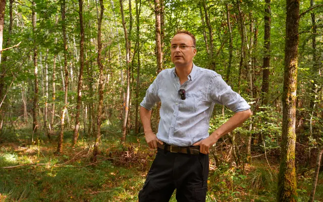Der für den Kehler Stadtwald zuständige Förster Markus Gutmann in einem Teil des Korker Waldes, wo sich Jungeichen beispielhaft aus natürlicher Aussamung entwickeln. | Foto: Stadt Kehl/Annette Lipowsky