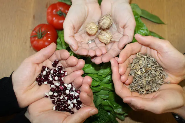 Pflanzensamen für nachhaltiges Gärtnern | Foto: Stadt Lahr