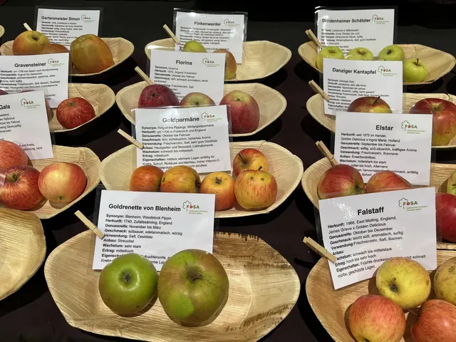 Alte Apfelsorten am Stand von FOSA | Foto: gro