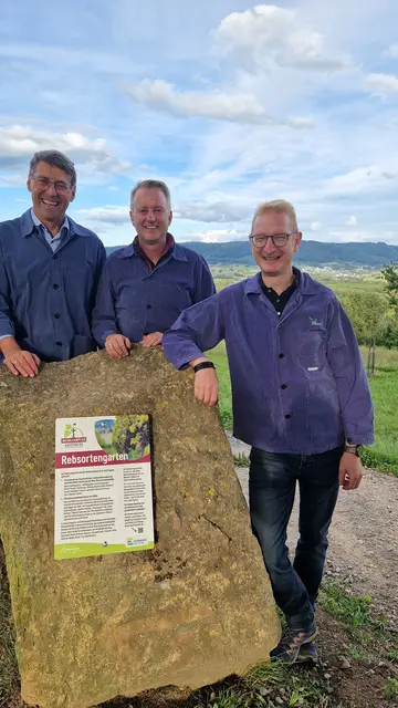 Die Bürgermeister Bruno Metz (v. l.), Pascal Weber und Thomas Gedemer mit der neuen Informationstafel | Foto: Stadt Ettenheim