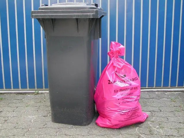 Abfallwirtschaft des Ortenaukreises kontrolliert künftig verstärkt überfüllte Tonnen. | Foto: Abfallwirtschaft Ortenaukreis