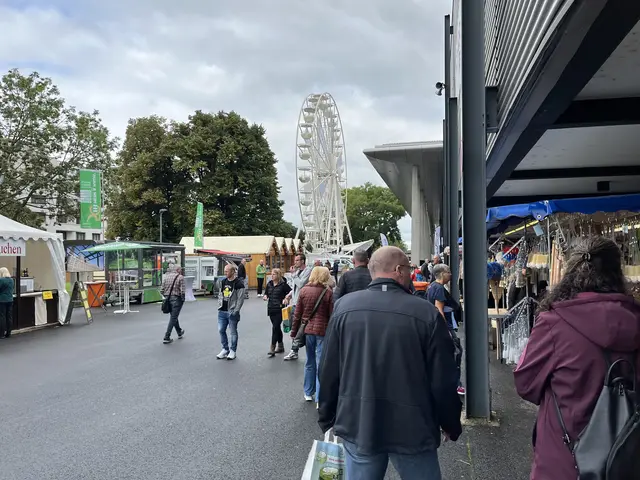 Das Riesenrad bot spektakuläre Ausblicke über Offenburg und die Oberrhein Messe. | Foto: gro