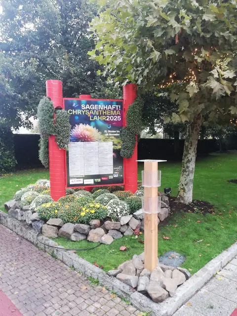 Chrysanthemen-Beet im Eingangsbereich des Europa-Park | Foto: Stadt Lahr