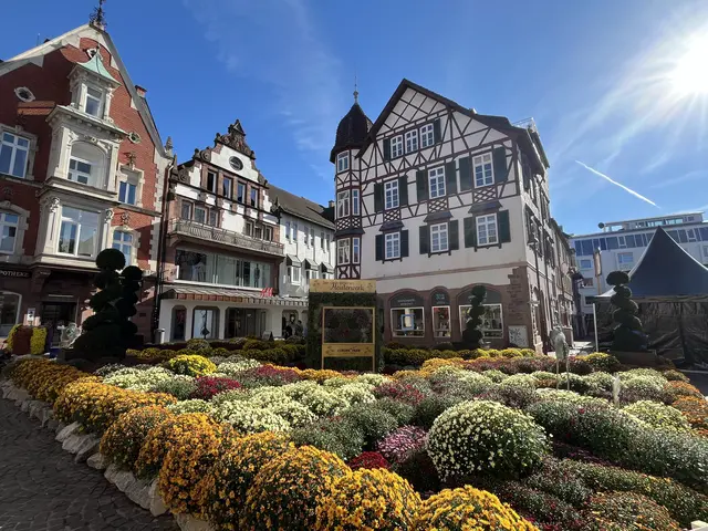 Sonnenplatz in Lahr während der Chrysanthema | Foto: Dimitri Dell/Stadt Lahr