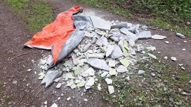 Illegale Müllentsorgung in Lahrs Wäldern | Foto: Stadt Lahr