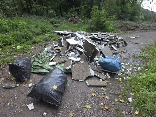 Illegale Müllentsorgung in Lahrs Wäldern | Foto: Stadt Lahr