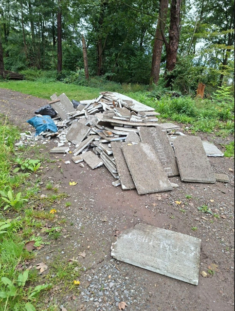 Illegale Müllentsorgung in Lahrs Wäldern | Foto: Stadt Lahr