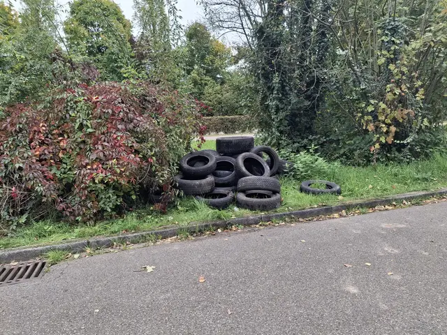 Illegale Müllentsorgung in Lahrs Wäldern | Foto: Stadt Lahr