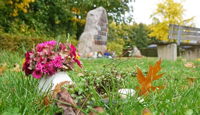 Auf dem Leutesheimer Friedhof besteht die Möglichkeit zur Urnenbeisetzung am Baum. | Foto: Stadt Kehl/Norman Mummert