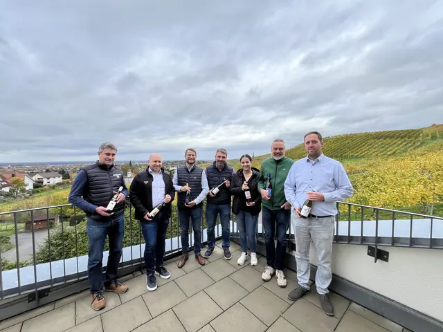 Die Offenburger Winzer sind mit dem Jahrgang 2025 bislang zufrieden: Georg Lehmann, Winzergenossenschaft Rammersweier (v. l.), Christian Gehring, Weinmanufaktur Gengenbach-Offenburg, Matthias Wolf, Weingut Schloss Ortenberg, Stefan Huschle, Weingut Freiherr von und zu Franckenstein, Eva Schilling, Ortenauer Weinkeller, Jochen Basler, Weingut Pieper Basler, und Mathias Renner, Familienweingut Renner. | Foto: gro