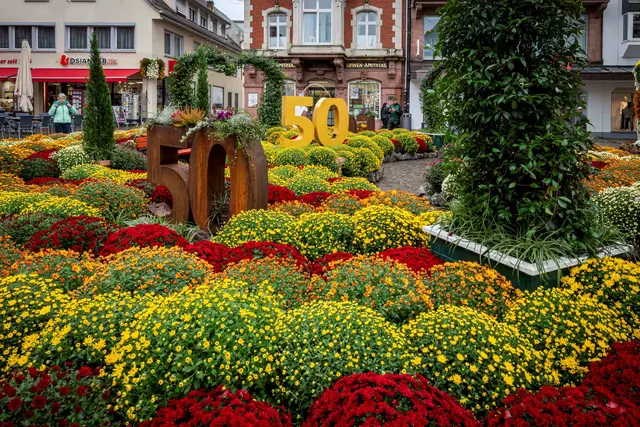 Das aufwändige Themenbeet  | Foto: Europa-Park