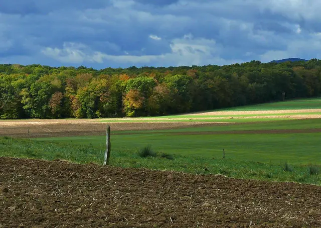 In Wald und Flur gibt es immer schöne Fotomotive. | Foto: Alfred Schramm