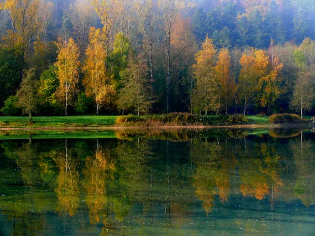 Seen, Teiche immer ideal für Spiegelbilder. | Foto: Alfred Schramm