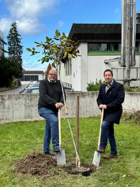 Oberbürgermeister Manuel Tabor und Pfarrer Christof Scherer pflanzten gemeinsam einen Nussbaum.  | Foto: Claudia Männle/Stadt Achern
