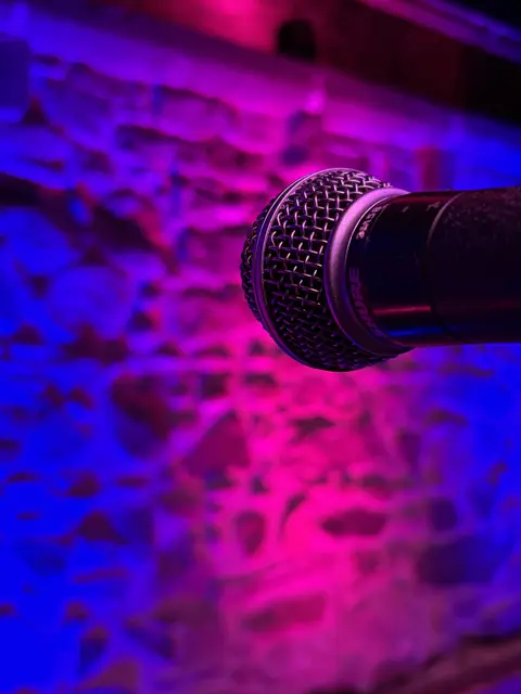 Rund 1.000 Besucher kamen zu den Veranstaltungen der Literaturtage Oberkirch. | Foto: Stadt Oberkirch