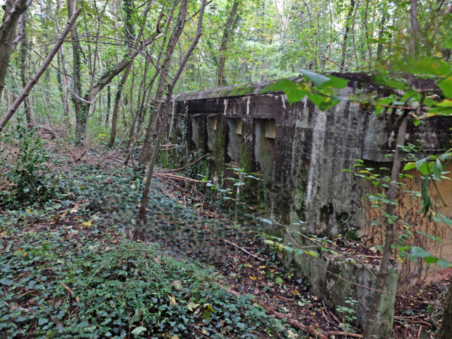 Hier ist die Vorderfront der am Kasematten-Pfad sich befindenden Flugabwehr-Kasematte zu sehen.
In ihr befinden sich vier Geschützkammern, die mit je zwei Geschützen ausgestattet waren. | Foto: Alfred Schramm