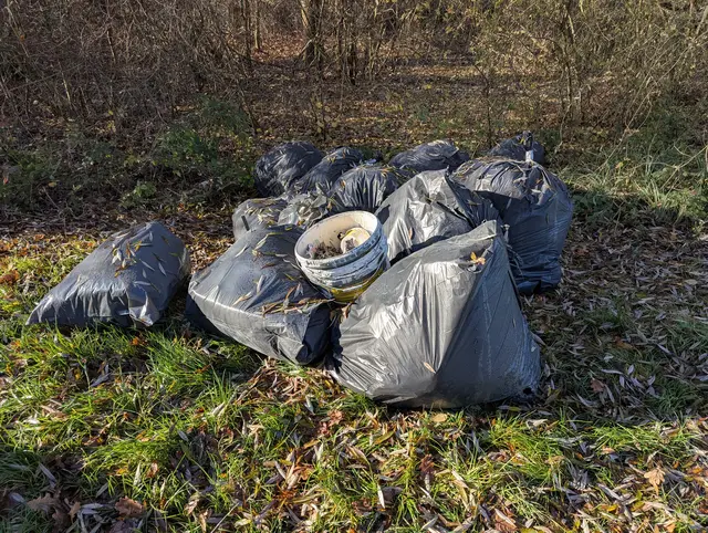 Diese Säcke, die Mineralfaserwolle gefüllt sind, wurden am Baggersee in Niederschopfheim gefunden. | Foto: Polizeipräsidium Offenburg
