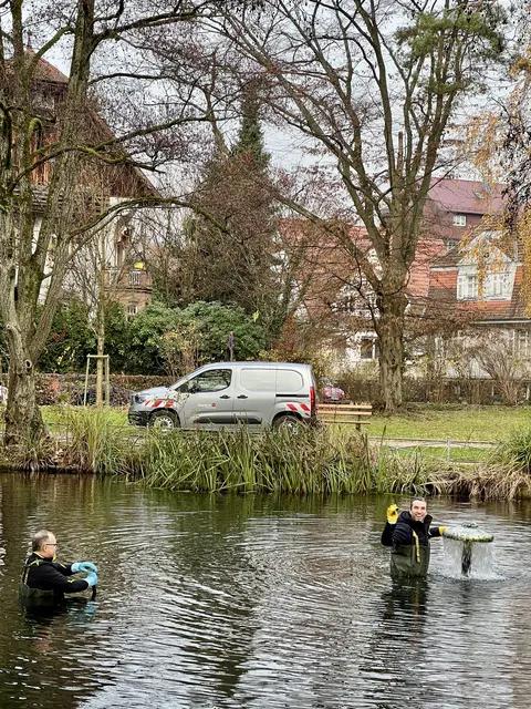 Über den Wasserbrunnen gelangt frisches Quellwasser in den Stadtgartensee. | Foto: Stadt Oberkirch 