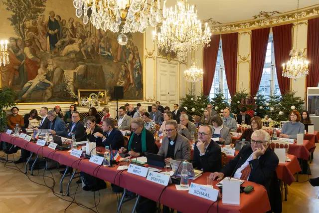 Der Rat des Eurodistrikt Strasbourg-Ortenau bei seiner Sitzung im Straßburger Rathaus  | Foto: Jérôme Dorkel / EMS