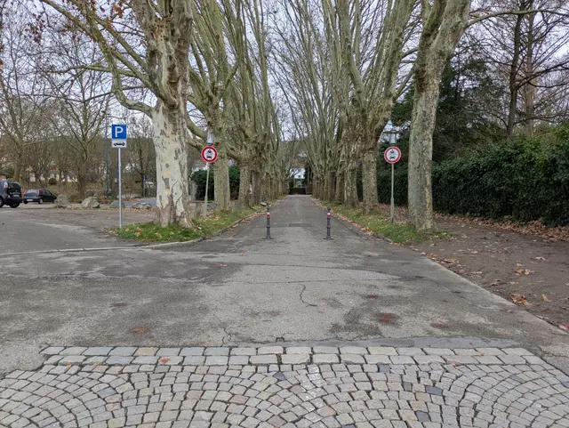 Die Allee am Lahrer Parktheater ist jetzt dem Fuß- und Radverkehr vorbehalten. | Foto: Stadt Lahr