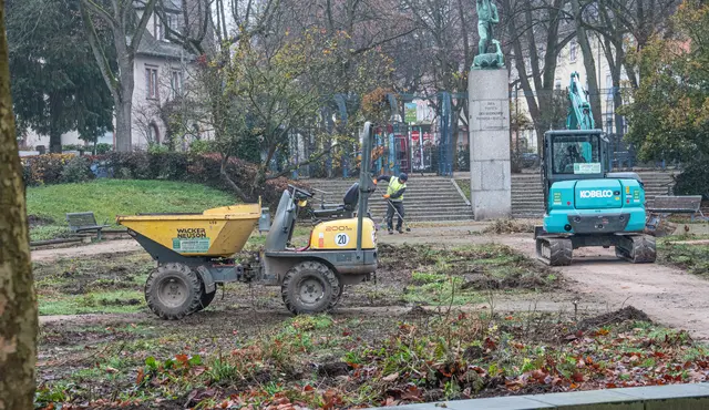 Der Rosengarten soll unter anderem barrierefrei umgestaltet werden. | Foto: Stadt Kehl