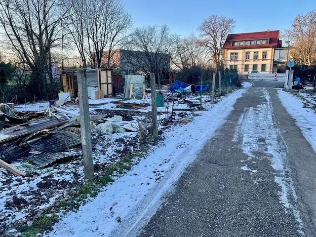 Ab Montag startet der Rückbau der Kleingärten auf der Räderbachinsel. Die bisherigen Pächter sind bereits in die neue Gartenanlage Grien umgezogen. | Foto: Stadt Offenburg/Siefke