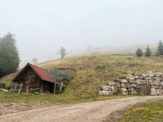 Die Stadt unterstützt Landwirte bei der Anschaffung eines Steilhangmähgerätes, um den Erhalt der landschaftsprägenden Flächen langfristig zu sichern und Betriebe zu entlasten. | Foto: Stadt Oberkirch