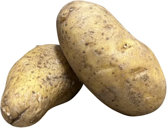 Ohne Kartoffeln geht es nicht. | Foto: gro