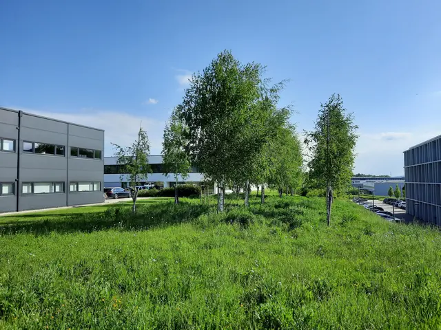 Ein Blick auf das Gewerbegebiet Erlen in Ravensburg | Foto: 365° freiraum + umwelt
