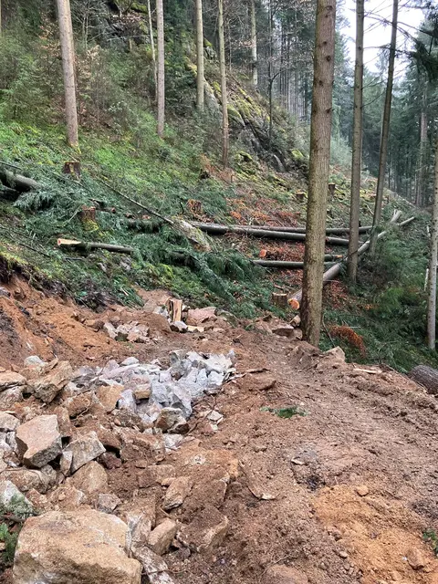 Zunächst wird entlang der markierten Trasse der Bewuchs entfernt.  | Foto: Landratsamt Ortenaukreis
