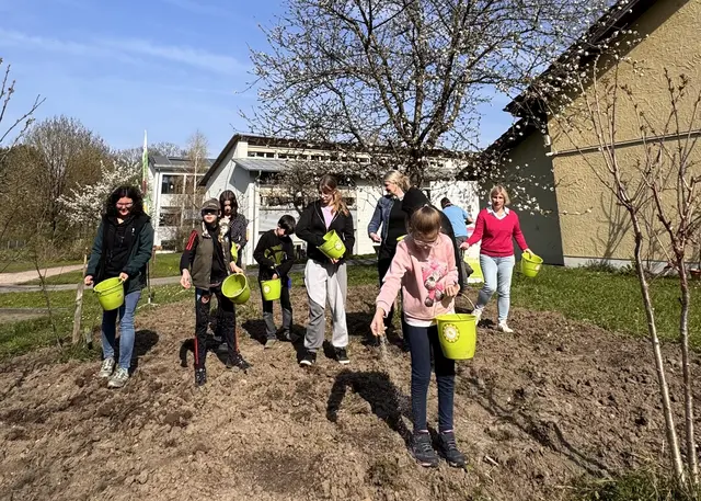 Bei strahlendem Sonnenschein wurde mit der Bienen AG und dem Naturpark Schwarzwald Mitte/Nord eine neue Wildblumenwiese an der Gutenbergschule in Lahr eingesät. | Foto: Volksbank Lahr