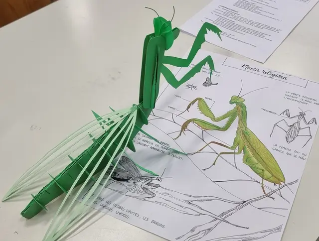 Schüler beider Schulen haben im Rahmen von Workshops in Lahr und in Dole große Insektenskulpturen für das Gartenfestival 2026 in der Saline Royale von Arc-et-Senans entworfen und gefertigt. | Foto: Gewerbliche Schule Lahr