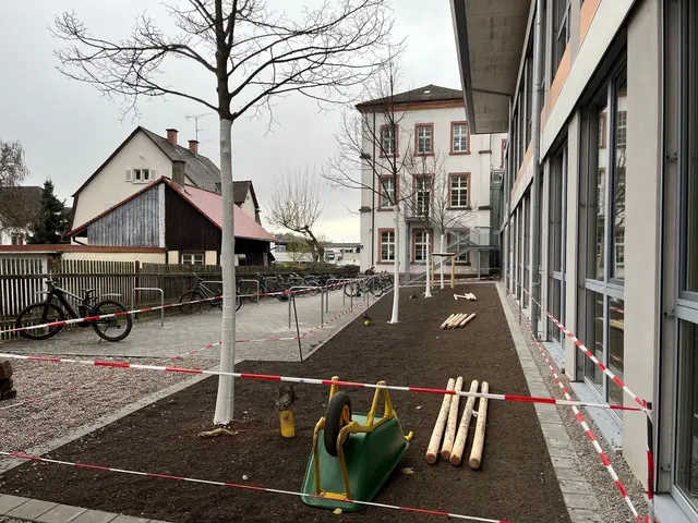 Vier neue Bäume sollen zukünftig für mehr Schatten und ein angenehmeres Klima sorgen.  | Foto: Stadt Ettenheim