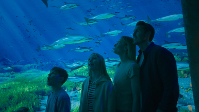 Der neue Themenbereich Monaco gibt unter anderem Einblicke in die spannende Unterwasserwelt. | Foto: Europa-Park