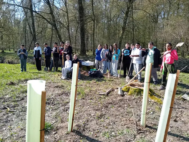 Klasse 7 der Werkrealschule Rheinau | Foto: Gabriele Schappacher-Peter/Stadt Rheinau