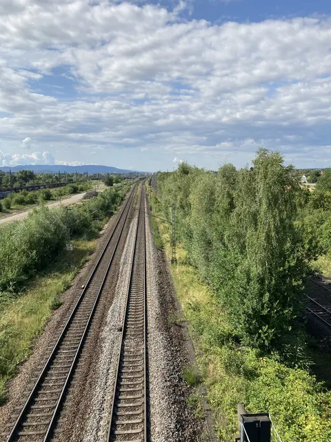 Die Antwort von Bundesverkehrsminister Patrick Schnieder zur Rheintalbahn lässt die Region aufhorchen. | Foto: gro